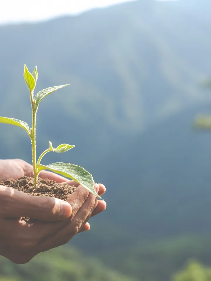 environmental-conservation-garden-children