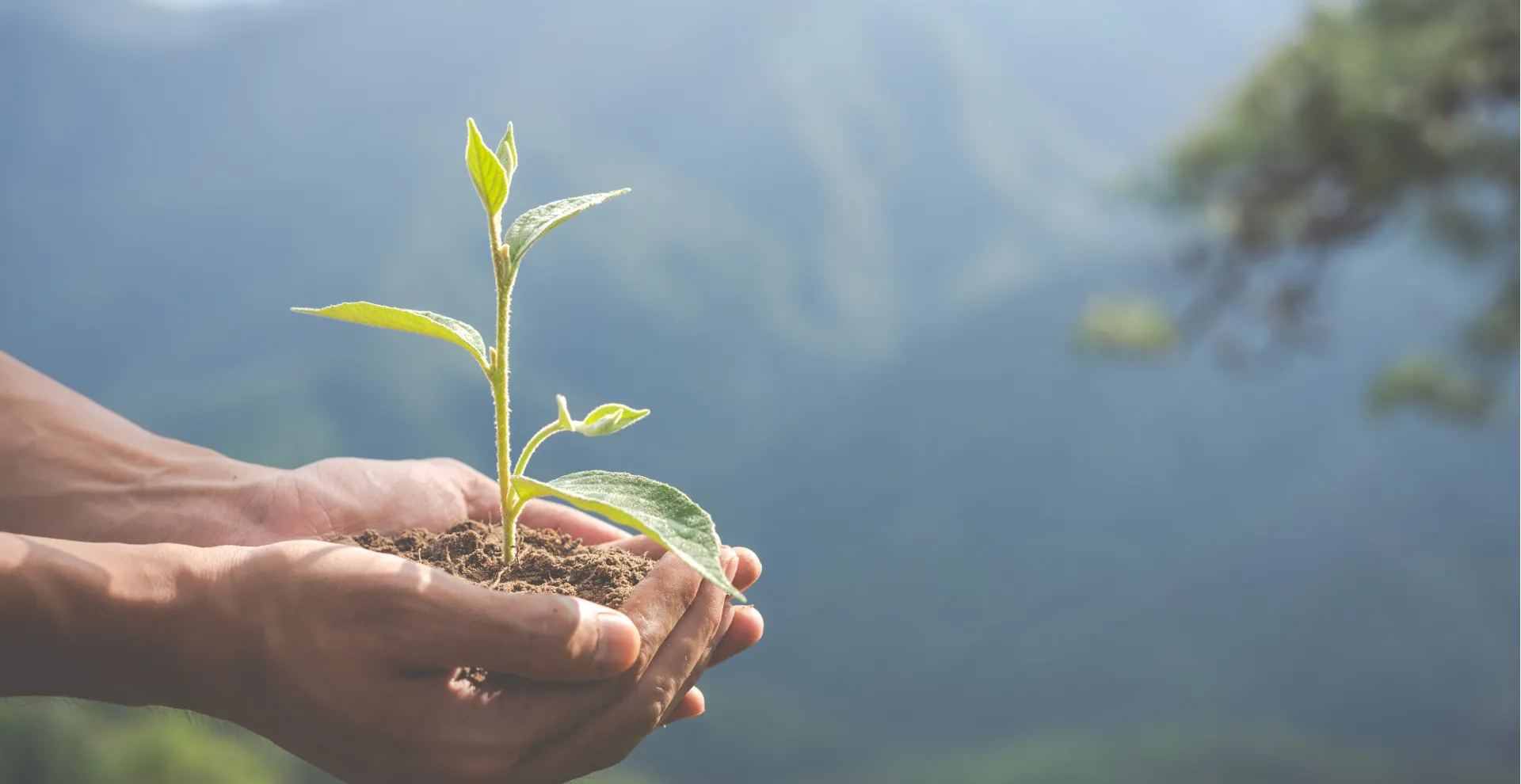 environmental-conservation-garden-children